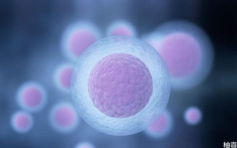 试管生子成功要多少费用